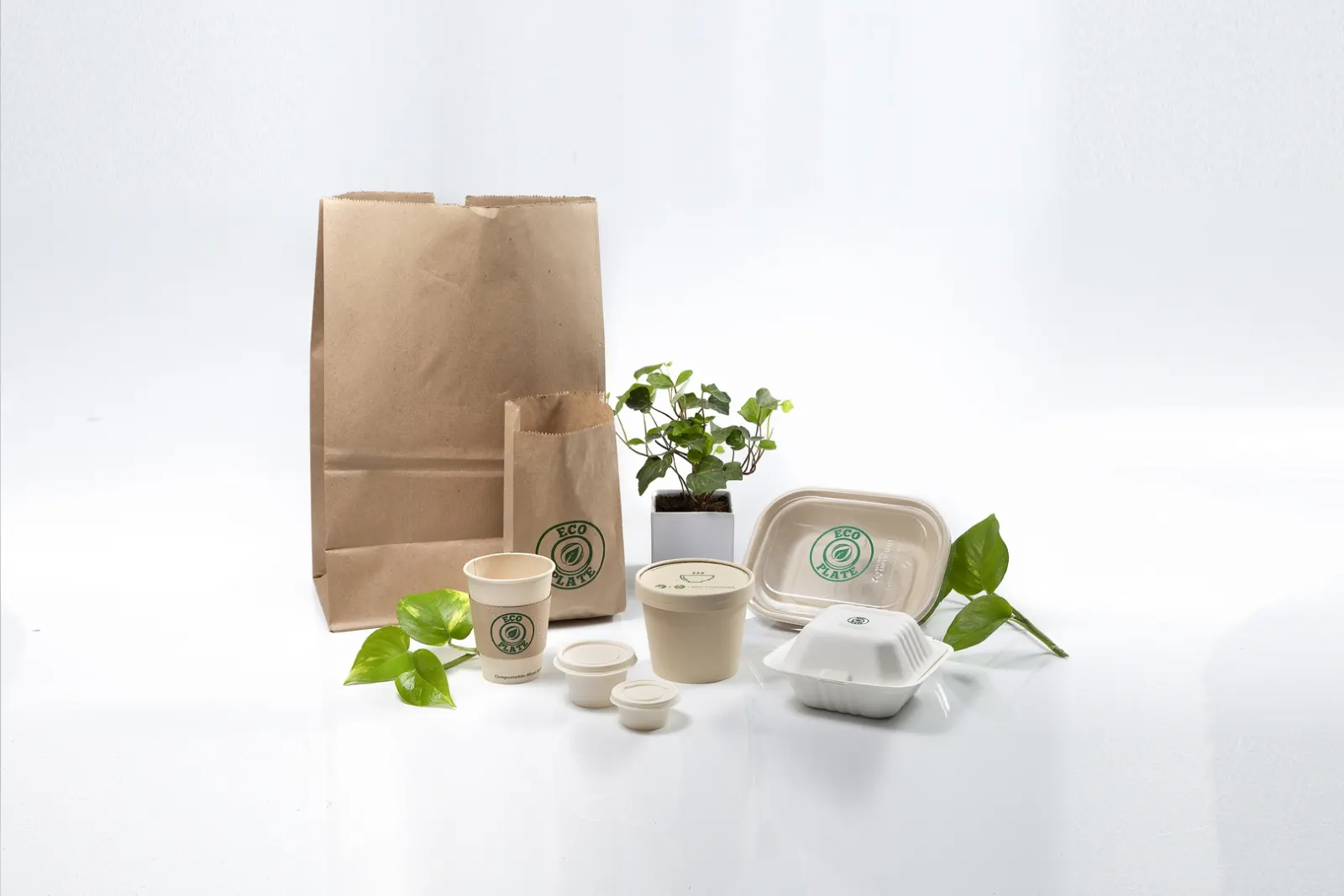 Desechables biodegradables Eco Plate